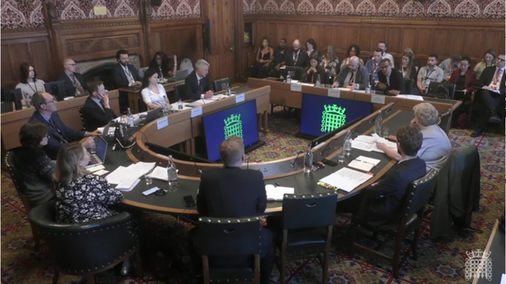 dpg-gives-evidence-to-the-home-affairs-select-committees-inquiry-into-asylum-accommodation_Committee