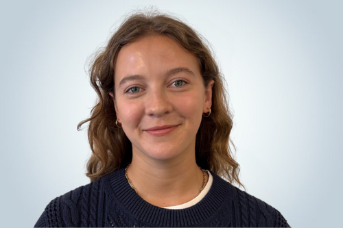 Elin official